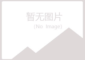 兴和县山柳造纸有限公司